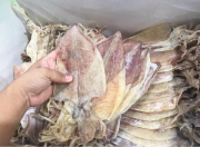 Khô mực Câu 80